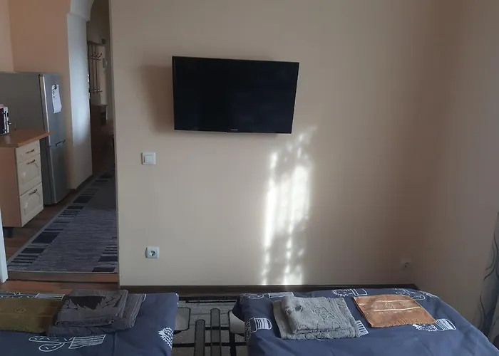 1 Fuer 1-2 Gaeste * Gossnitz